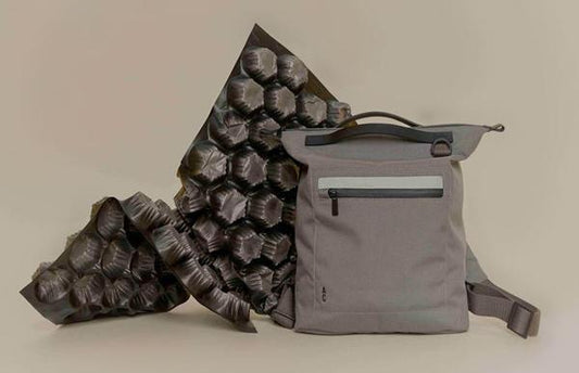 Ally Capellino Backpacks