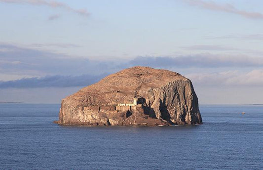 Discovering East Neuk - one of the 12 Wildlife Wonders of the World