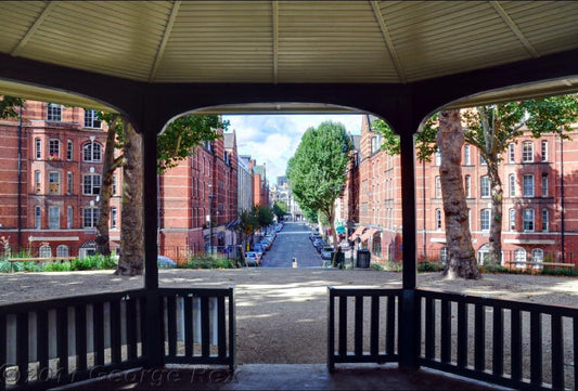 Calvert Avenue: A Street with Character