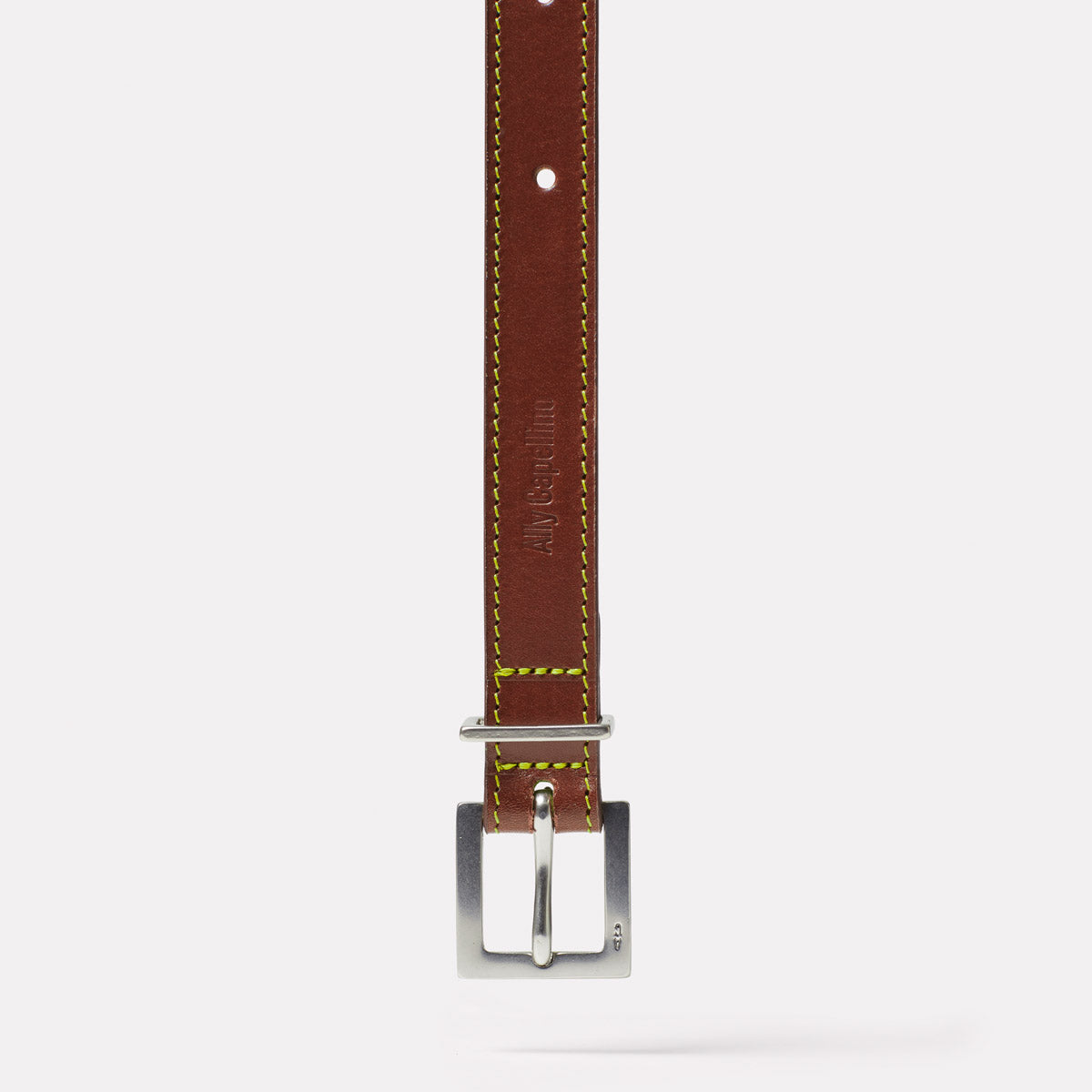 Pierce Leather Belt in Carob and Frog