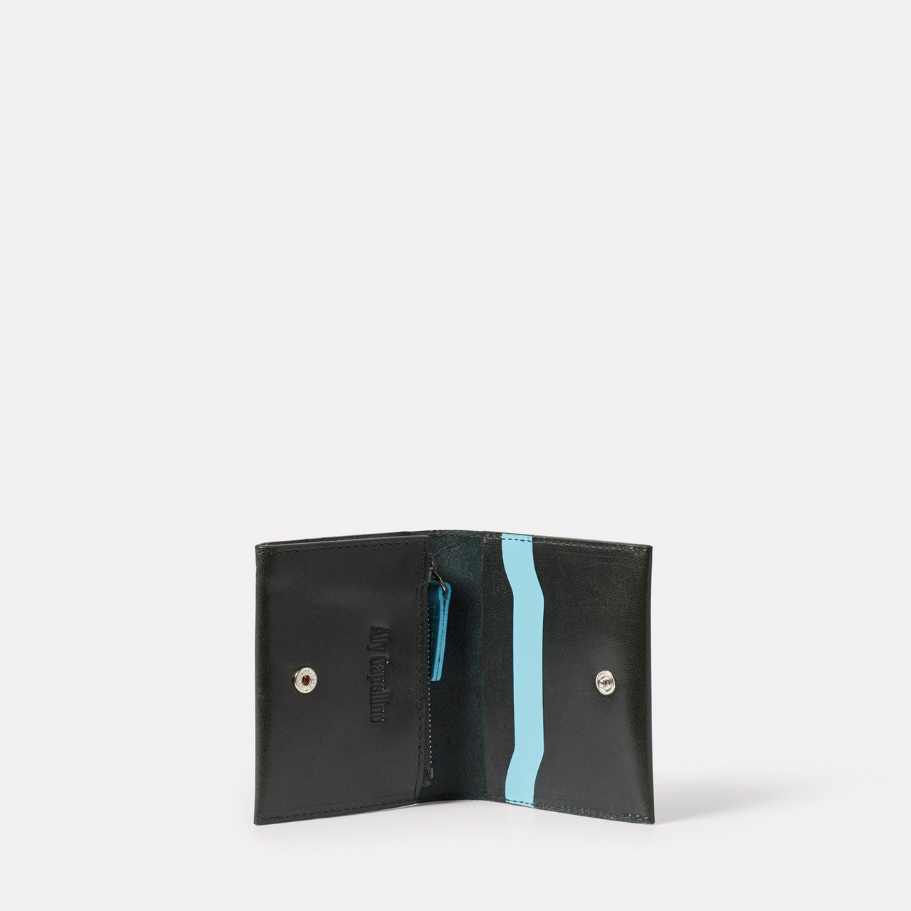 Waste You Want Riley Leather Coin Card Purse in Green and Blue