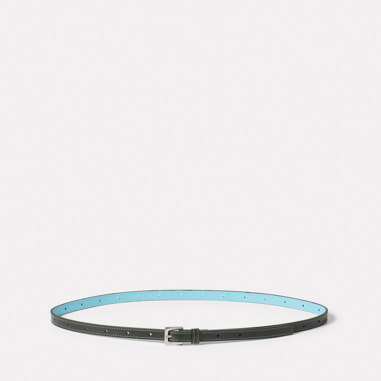Waste You Want Etty Slim Leather Belt in Green and Blue