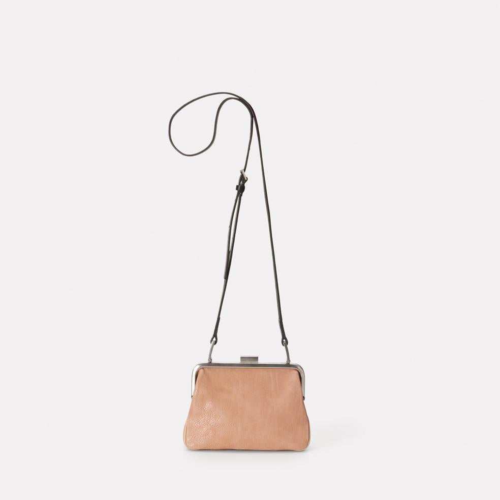 SS18: Dusty Calvert Leather Mini Frame Bag in Clay | Ally Capellino